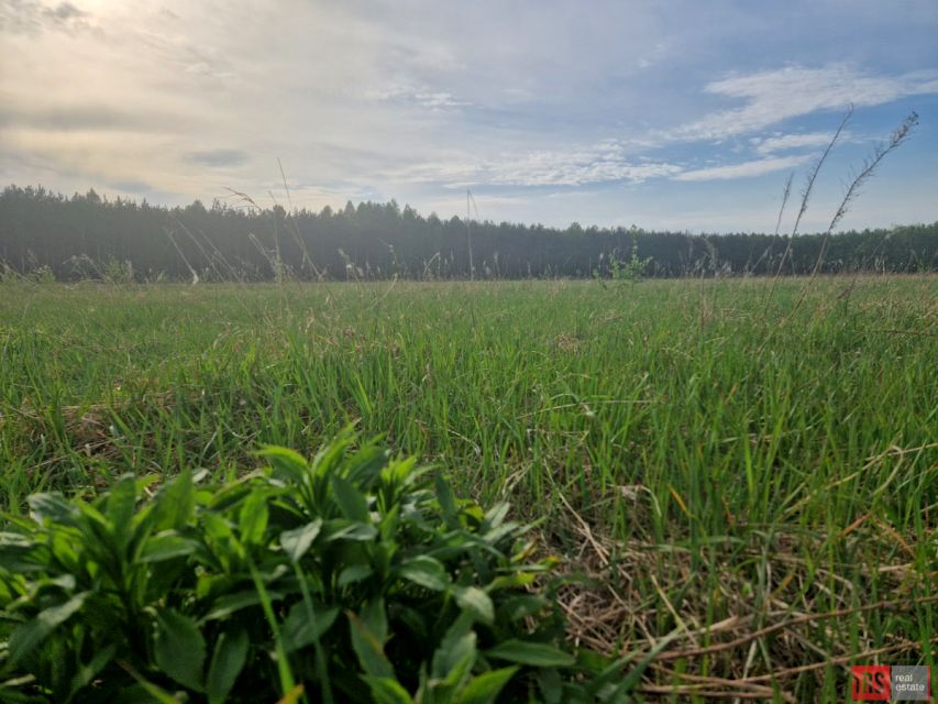 Działka Joniec