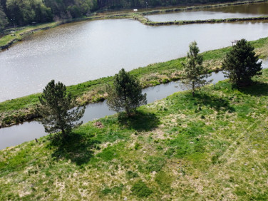 Budynek użytkowy Lublin