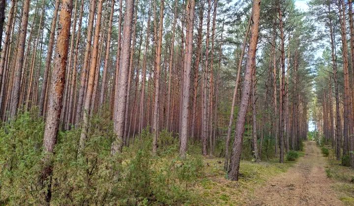 Działka Wyszków
