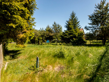 Działka rekreacyjna Dobrogoszcz