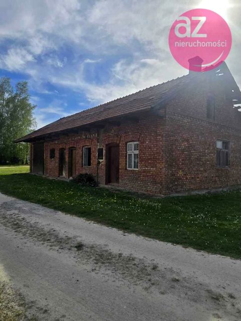 Zdjęcie 2