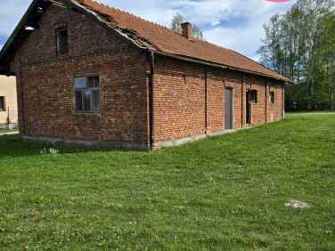 Działka Łużna
