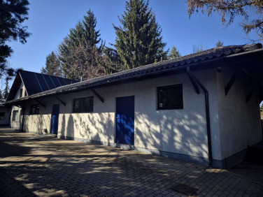 Lokal Brwinów