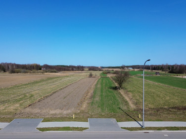 Działka Rybno