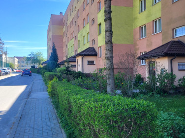 Mieszkanie Kielce