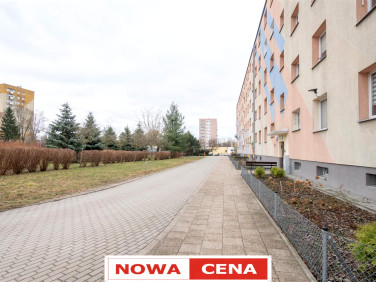 Mieszkanie Elbląg sprzedaż