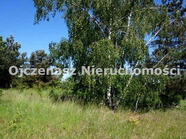 Działka budowlana Dąbrówka Nowa