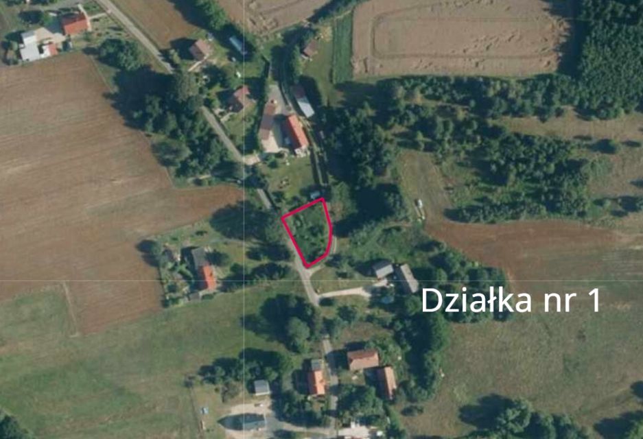 Zdjęcie 2