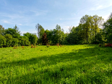 Działka Bolesławek