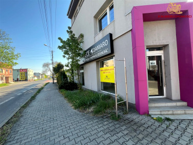 Lokal Rybnik