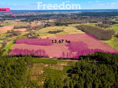Działka przy lesie