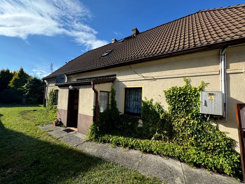 Dom wolnostojący sprzedaż