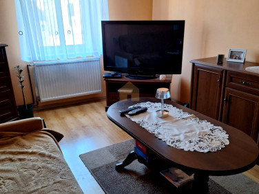 Mieszkanie Wołów