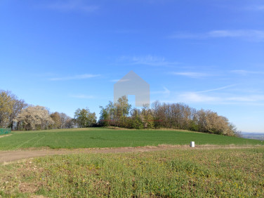 Działka inna Bielawa