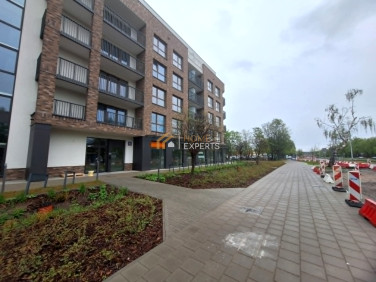 Lokal Gdańsk