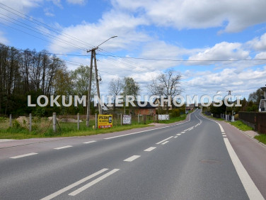 Działka inwestycyjna Dąbrowa Tarnowska sprzedam