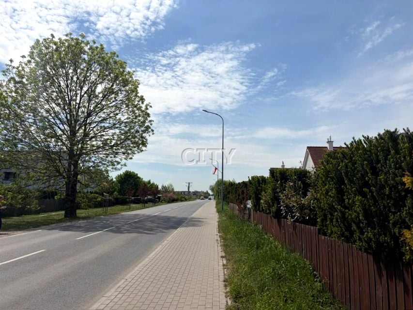 Zdjęcie 3