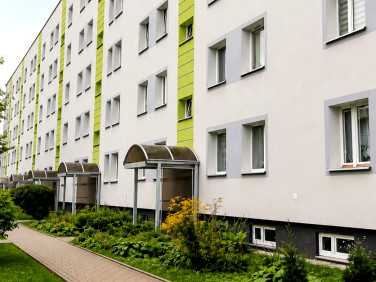 Mieszkanie Kielce