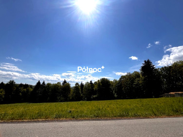 Działka Pogwizdów