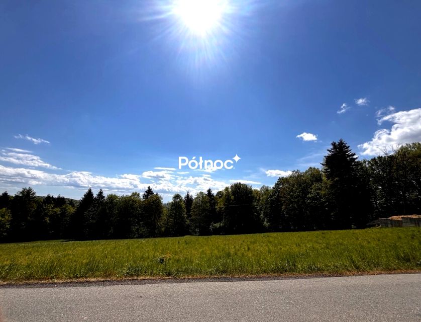 Działka Pogwizdów