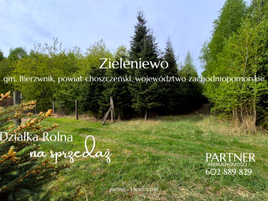 Działka rolna Zieleniewo