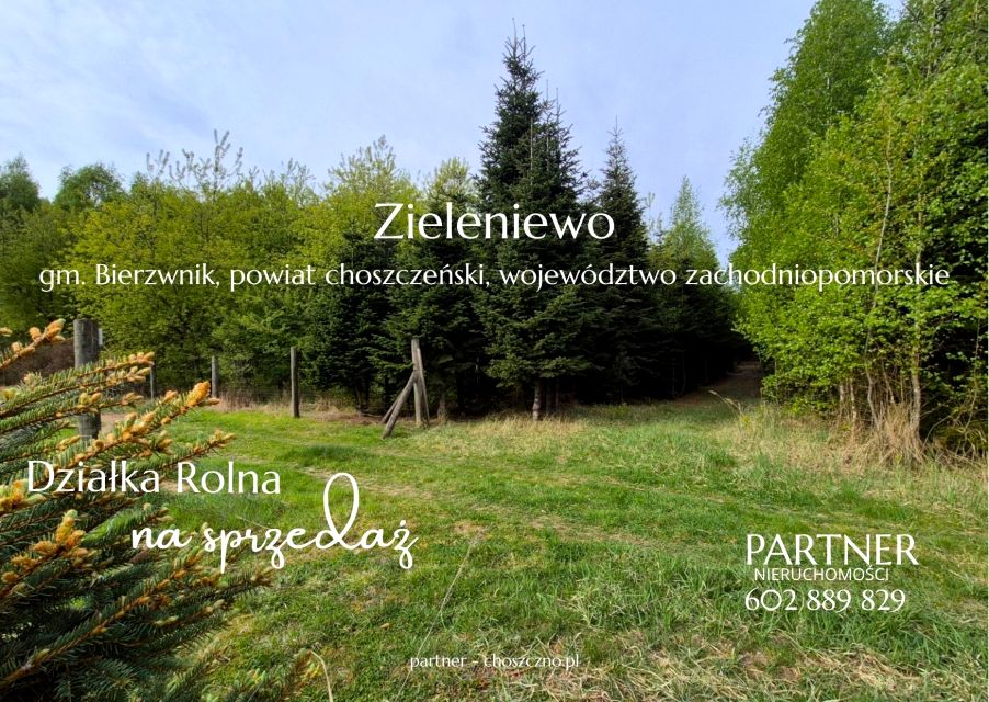 Działka rolna Zieleniewo