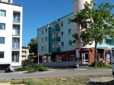 Lokal Elbląg
