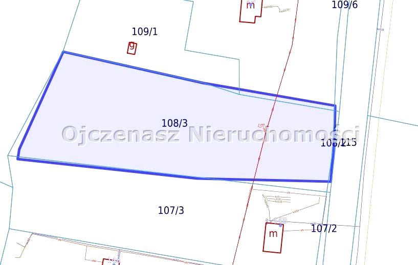 Zdjęcie 3