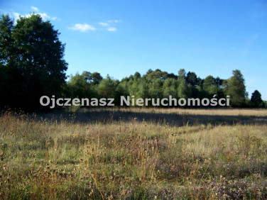Działka rolna Topolinek