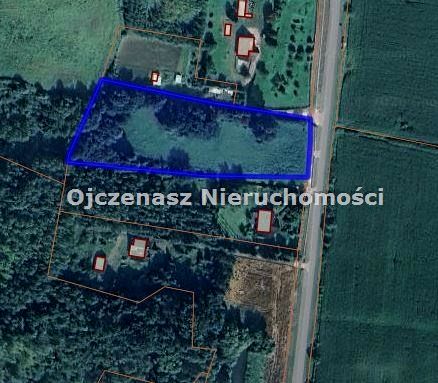Zdjęcie 2