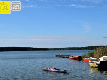Działka Wycinki