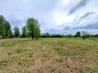 Działka JODŁOWICE
