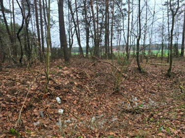 Działka leśna Przywózki