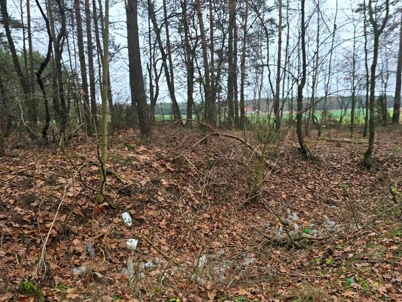 Działka leśna Przywózki