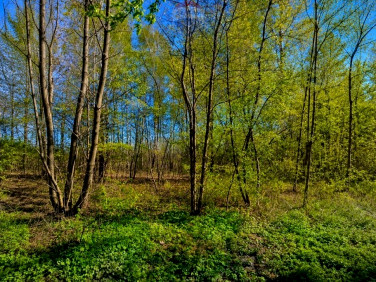 Działka budowlana Grabów nad Pilicą