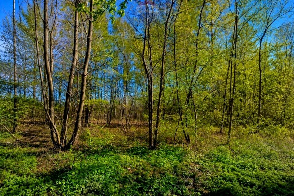 Działka budowlana Grabów nad Pilicą