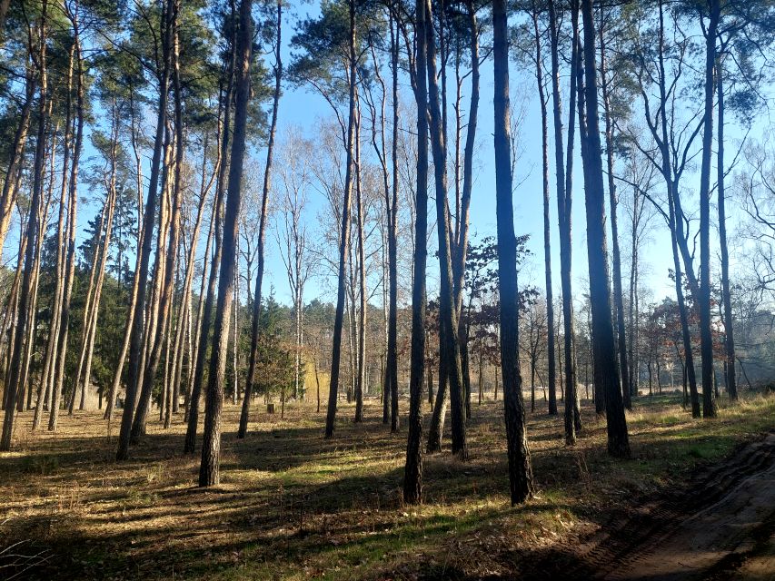 Działka usługowa Jerzykowo