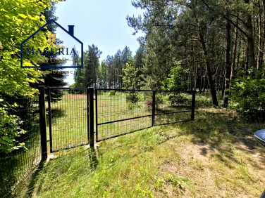 Działka Skarlin