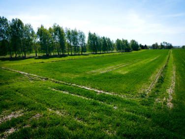 Działka Helenów