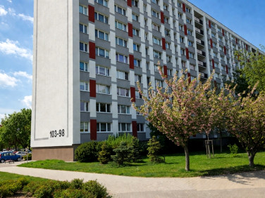 Mieszkanie Poznań