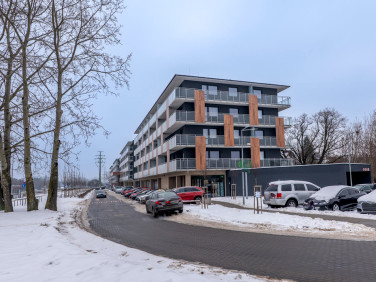 Lokal Warszawa