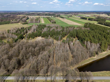 Działka rekreacyjna Chorzeszów