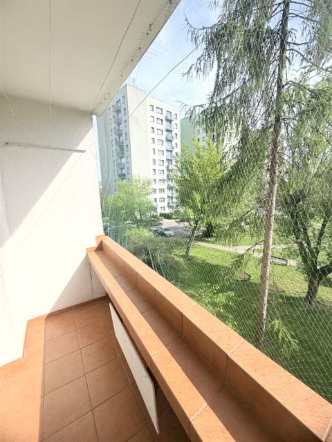 Zdjęcie 3