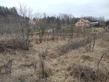 Działka nad jeziorem