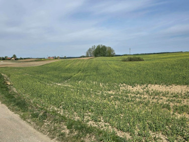 Działka KLESZCZEWO