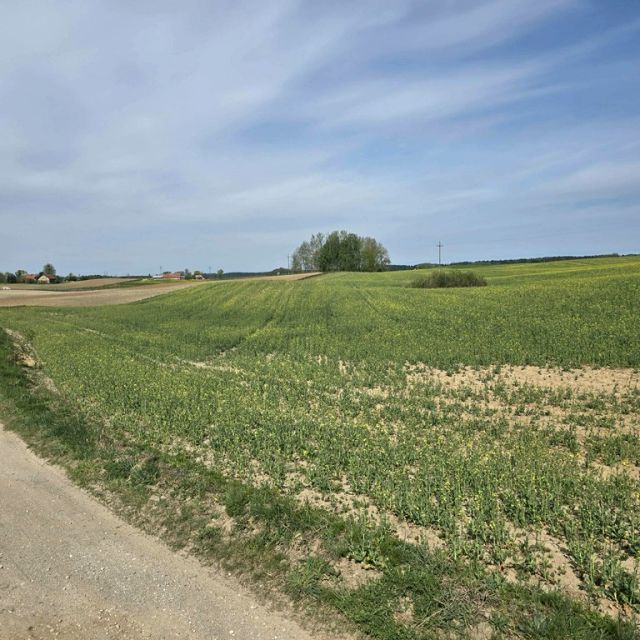 Działka KLESZCZEWO