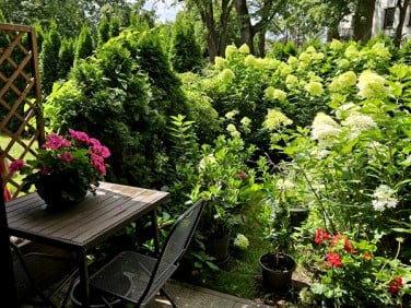 Mieszkanie apartamentowiec Gdynia