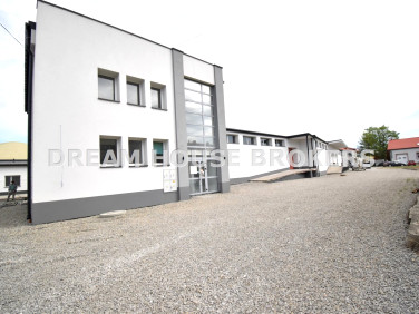 Lokal Krosno