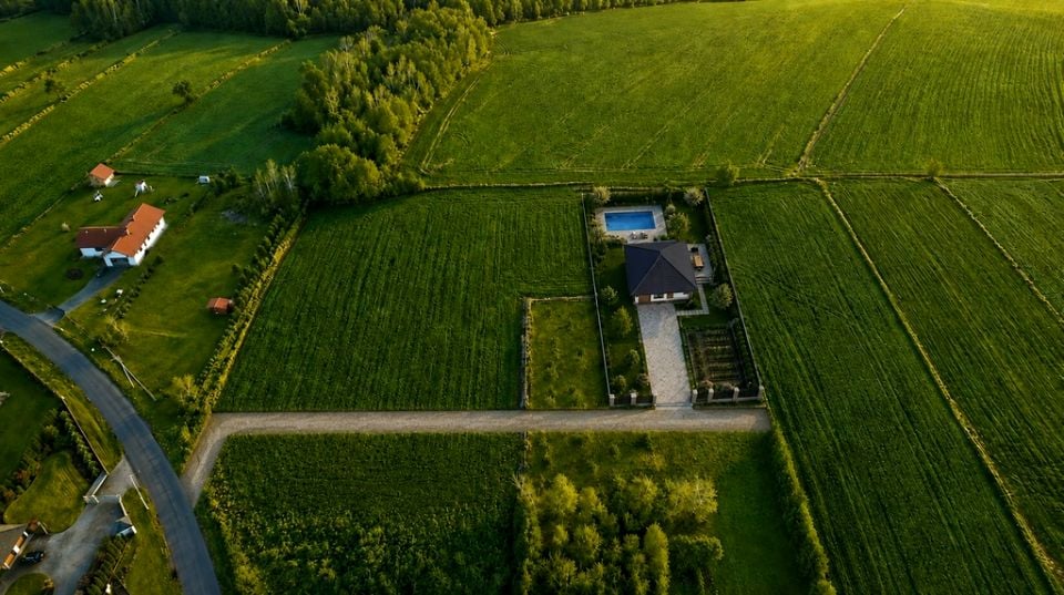 Działka siedliskowa Zrąb