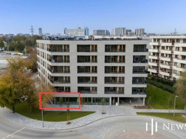 Lokal Kraków